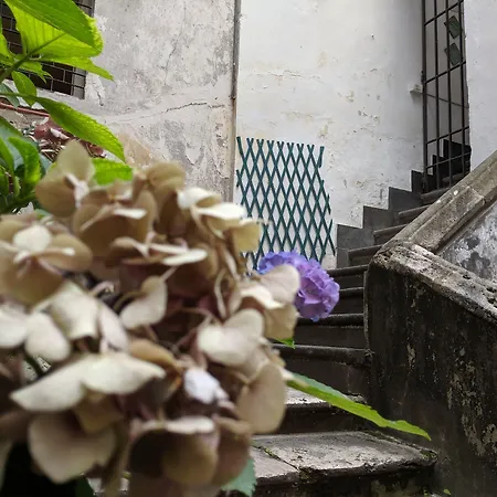 酒店 Piazza Alfano